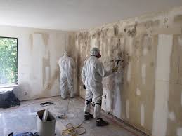 Best Biohazard Mold Removal in Tton, IL